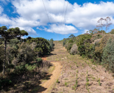 COPEL - Propriedade rural cumpre a Lei Estadual da Faixa Limpa com solução rentável e sem danos à rede elétrica