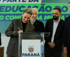 PROFESSORES