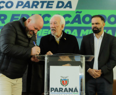 PROFESSORES