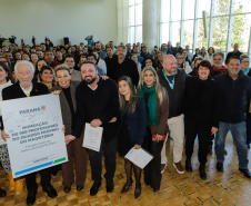 PROFESSORES