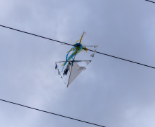 COPEL - Férias: atenção redobrada para evitar acidentes de crianças com a rede elétrica