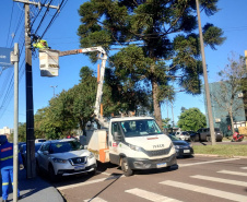 Copel fiscaliza organização de cabos de Telecom na Avenida Assunção, em Cascavel