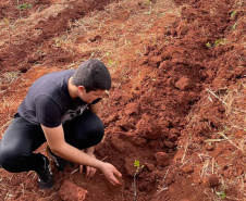 Paraná se destaca em olimpíada nacional de recuperação de ecossistemas