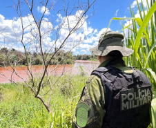 Polícia Militar do Paraná resgata 216 animais e coíbe desmatamento em área de 159 hectares durante Mês do Meio Ambiente