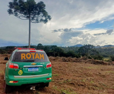 Polícia Militar do Paraná resgata 216 animais e coíbe desmatamento em área de 159 hectares durante Mês do Meio Ambiente