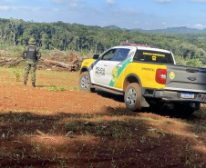 Polícia Militar do Paraná resgata 216 animais e coíbe desmatamento em área de 159 hectares durante Mês do Meio Ambiente