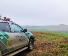 Polícia Militar do Paraná resgata 216 animais e coíbe desmatamento em área de 159 hectares durante Mês do Meio Ambiente