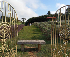Turismo gera renda no meio rural