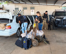 K9 “Glock”, da Polícia Penal, fareja e encontra 81 kg de maconha durante ação conjunta com a PRF em Maringá