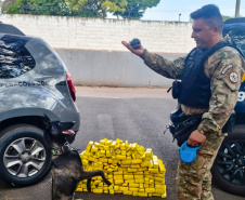 K9 “Glock”, da Polícia Penal, fareja e encontra 81 kg de maconha durante ação conjunta com a PRF em Maringá