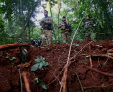 Operação Sinergia II termina com 12,4 toneladas de drogas apreendidas e 271 presas