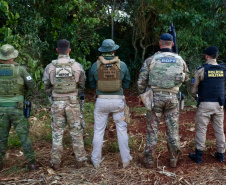 Operação Sinergia II termina com 12,4 toneladas de drogas apreendidas e 271 presas
