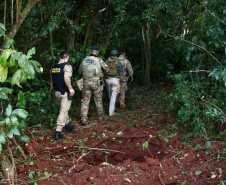 Operação Sinergia II termina com 12,4 toneladas de drogas apreendidas e 271 presas