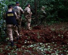 Operação Sinergia II termina com 12,4 toneladas de drogas apreendidas e 271 presas