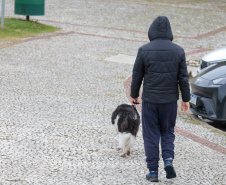 FRIO
