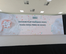 SEDA