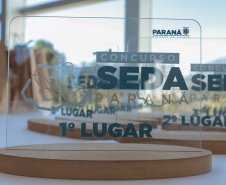 SEDA
