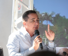 GOVERNADOR - MARIA HELENA