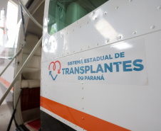 TRANSPLANTE