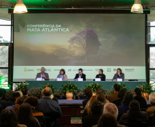 CONFERENCIA MATA ATLÂNTICA 