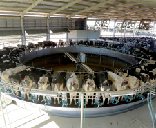 SETU - Turismo Agrotecnológico promove visitas guiadas e mostra potenciais do Paraná no setor internacional