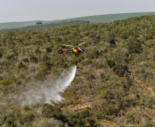 IAT promoveu a restauração ambiental do Parque Estadual do Cerrado, em Jaguariaíva, por meio da queima controlada