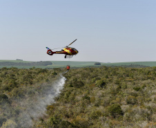 IAT promoveu a restauração ambiental do Parque Estadual do Cerrado, em Jaguariaíva, por meio da queima controlada