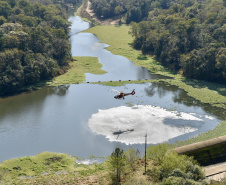 IAT promoveu a restauração ambiental do Parque Estadual do Cerrado, em Jaguariaíva, por meio da queima controlada