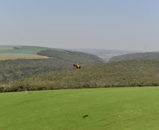 IAT promoveu a restauração ambiental do Parque Estadual do Cerrado, em Jaguariaíva, por meio da queima controlada