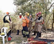IAT promoveu a restauração ambiental do Parque Estadual do Cerrado, em Jaguariaíva, por meio da queima controlada