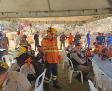 IAT promoveu a restauração ambiental do Parque Estadual do Cerrado, em Jaguariaíva, por meio da queima controlada