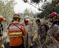 IAT promoveu a restauração ambiental do Parque Estadual do Cerrado, em Jaguariaíva, por meio da queima controlada