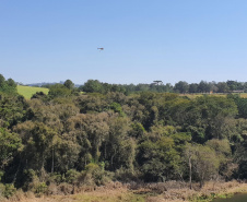 IAT promoveu a restauração ambiental do Parque Estadual do Cerrado, em Jaguariaíva, por meio da queima controlada