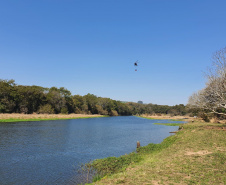 IAT promoveu a restauração ambiental do Parque Estadual do Cerrado, em Jaguariaíva, por meio da queima controlada