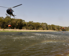 IAT promoveu a restauração ambiental do Parque Estadual do Cerrado, em Jaguariaíva, por meio da queima controlada