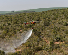 IAT promoveu a restauração ambiental do Parque Estadual do Cerrado, em Jaguariaíva, por meio da queima controlada