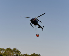IAT promoveu a restauração ambiental do Parque Estadual do Cerrado, em Jaguariaíva, por meio da queima controlada