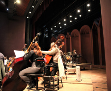Especialista acústica Teatro Guaíra