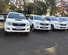 Novo leilão de 76 veículos do Estado não terá taxa do leiloeiro; lote tem Hilux e Triton Sport