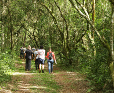 SETU - Caminhos do Peabiru