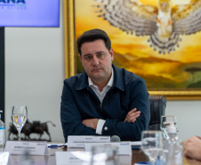 Horse Brasil investirá mais R$ 546 milhões em fábrica no Paraná com apoio do Estado