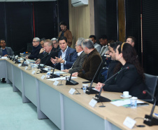 Governo do Estado recebe Plano de Biogás e Biometano do Paraná em reunião de comitê de governança