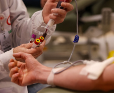 Hemepar solicita doações de sangue dos tipos O- e O+ com urgência