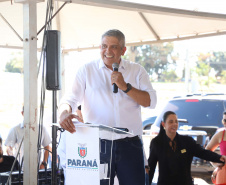 estrada