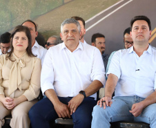 estrada