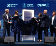 electrolux