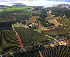 SETU - Turismo Agrotecnológico promove visitas guiadas e mostra potenciais do Paraná no setor internacional