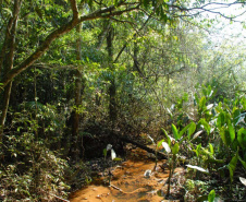 Turismo de Base Comunitária é opção para conhecer tradições e culturas no Oeste do Paraná