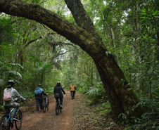 Turismo de Base Comunitária é opção para conhecer tradições e culturas no Oeste do Paraná