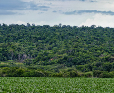 Ranking Sustentabilidade